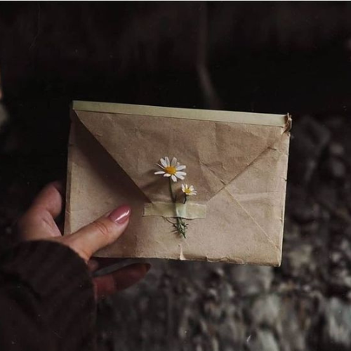Thoughtful Gift Ideas for the Holiday Season